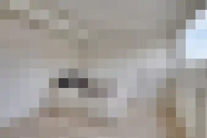 Opaalweg 52 Oss thumbnail 30