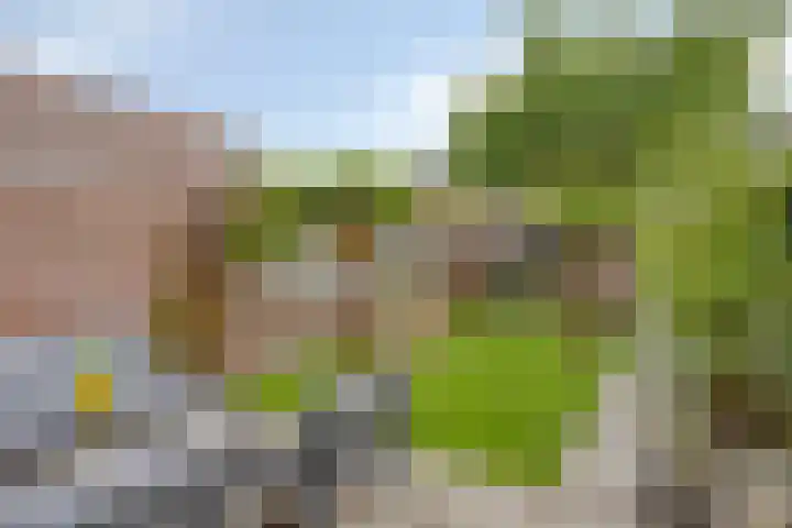 Opaalweg 52 Oss thumbnail 31