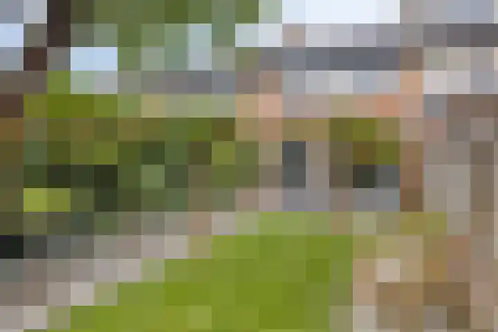 Opaalweg 52 Oss thumbnail 33