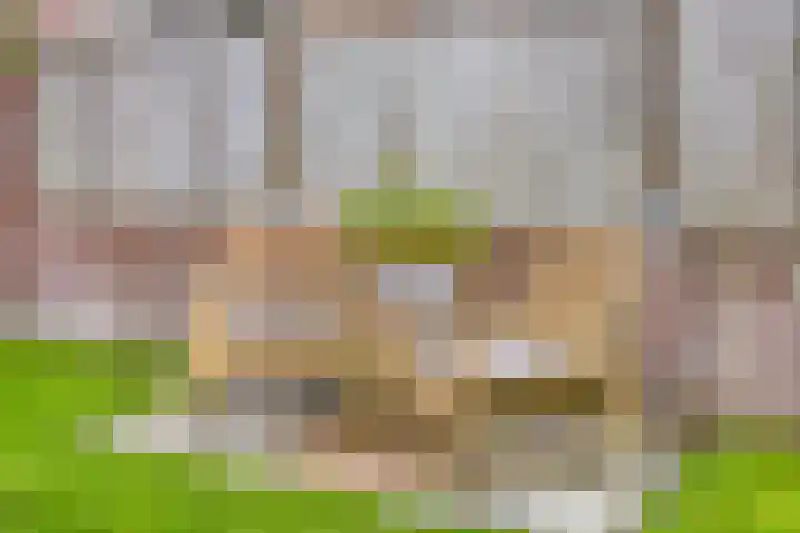 Opaalweg 52 Oss thumbnail 34