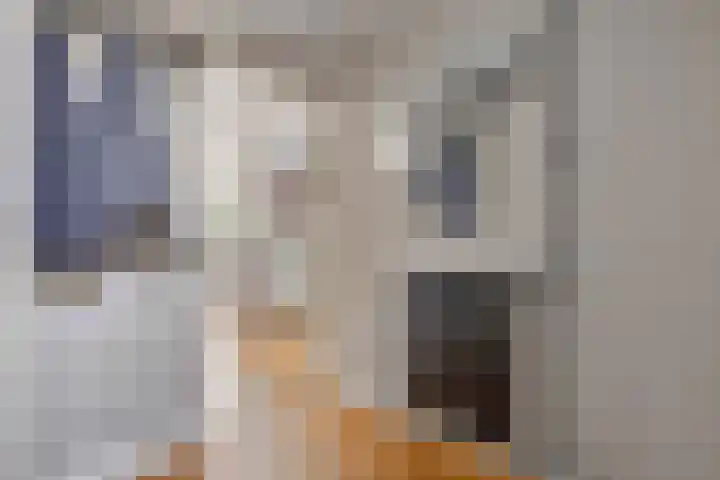 Opaalweg 52 Oss thumbnail 8