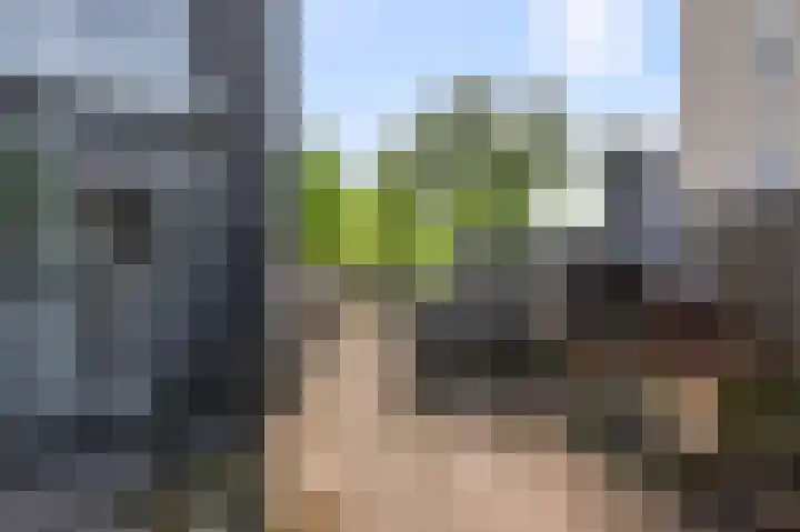 Opera 1 Zaandam thumbnail 19