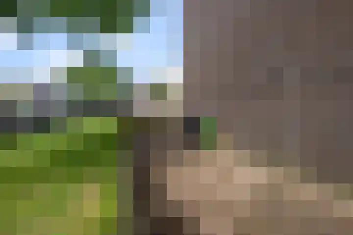 Opera 1 Zaandam thumbnail 40