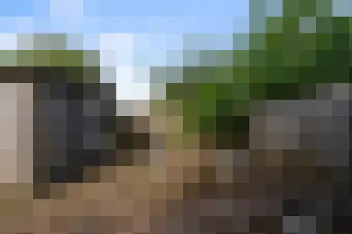 Opera 1 Zaandam thumbnail 41