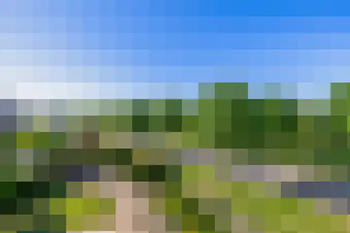 Opera 1 Zaandam thumbnail 51