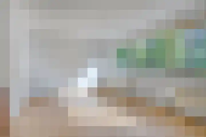 Opera 73 Zaandam thumbnail 4