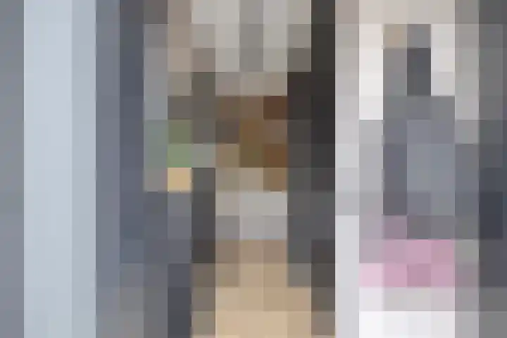 Opera 73 Zaandam thumbnail 8