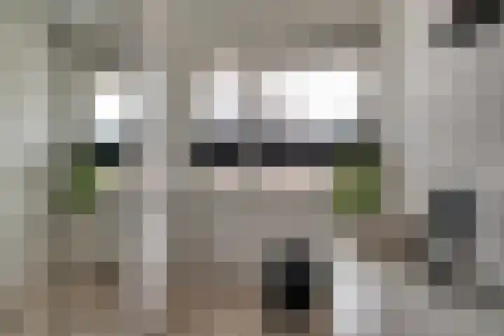 Ophaalbrug 10 Arnhem thumbnail 40