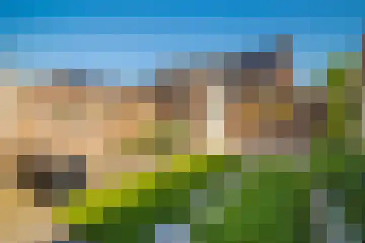 Ophaalbrug 8 Arnhem thumbnail 26