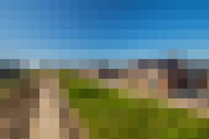 Ophaalbrug 8 Arnhem thumbnail 30