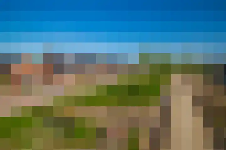 Ophaalbrug 8 Arnhem thumbnail 31