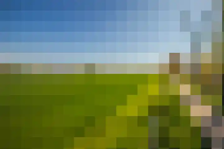 Ophaalbrug 8 Arnhem thumbnail 34
