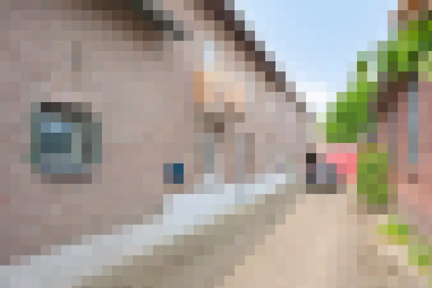 Ophoven 137 Sittard thumbnail 5