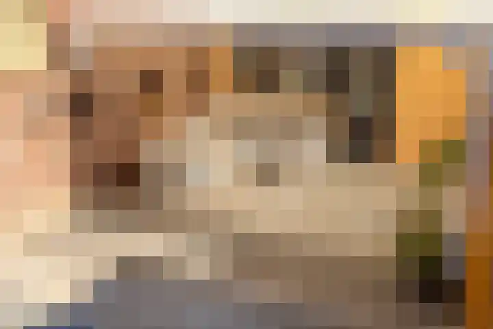 Ophoven 53 Sittard thumbnail 34