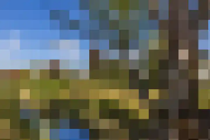 Ophoven 53 Sittard thumbnail 7