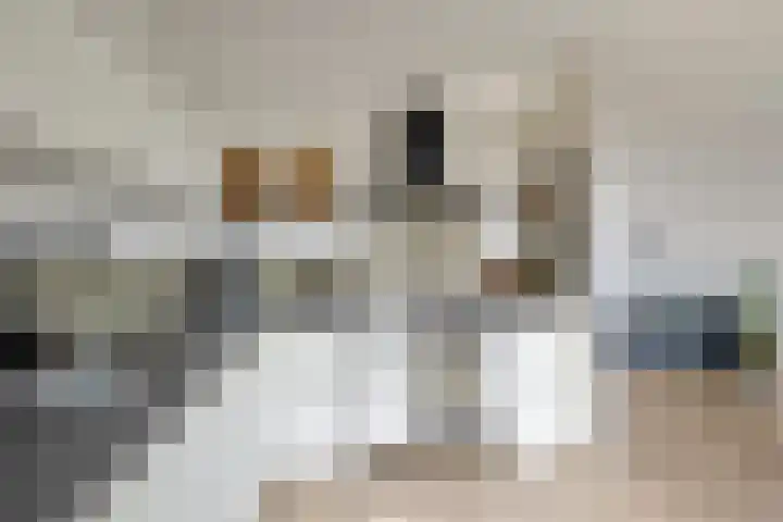 Ophoven 70 Sittard thumbnail 15