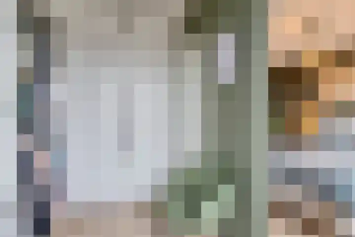 Ophoven 70 Sittard thumbnail 19