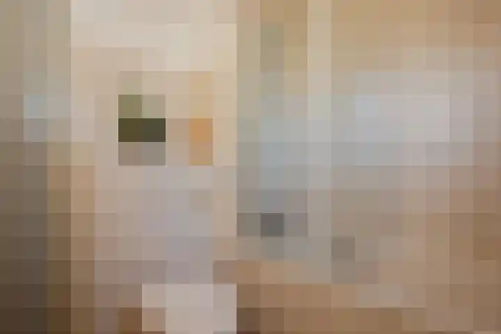 Ophoven 70 Sittard thumbnail 32