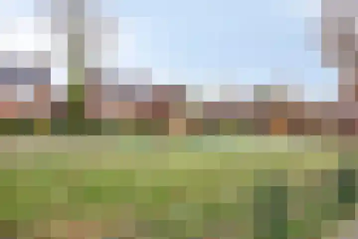 Ophoven 70 Sittard thumbnail 33