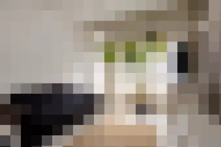 Ophoven 77 Sittard thumbnail 37
