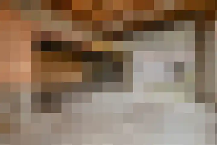 Ophoven 77 Sittard thumbnail 47