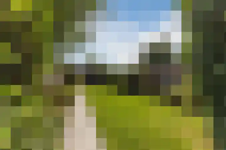 Ophoviusstraat 14 Geldrop thumbnail 18