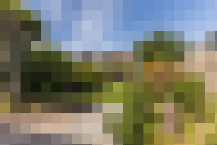 Ophoviusstraat 14 Geldrop thumbnail 20