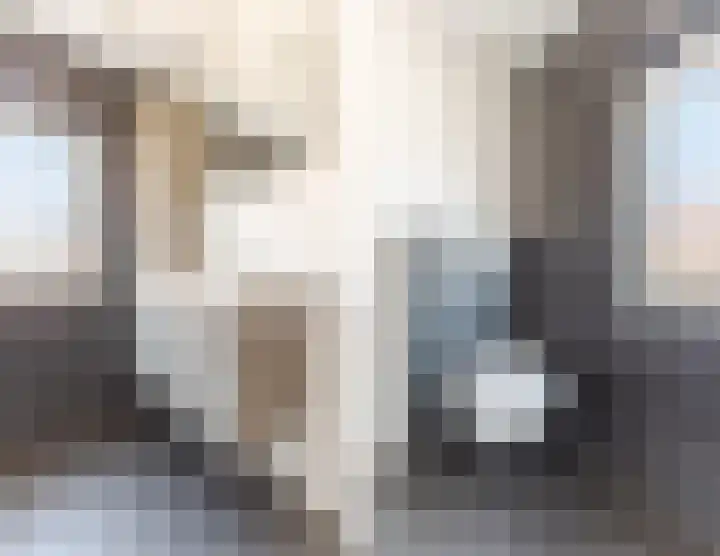 Ophoviusstraat 14 Geldrop thumbnail 32