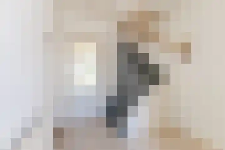 Ophoviusstraat 14 Geldrop thumbnail 7
