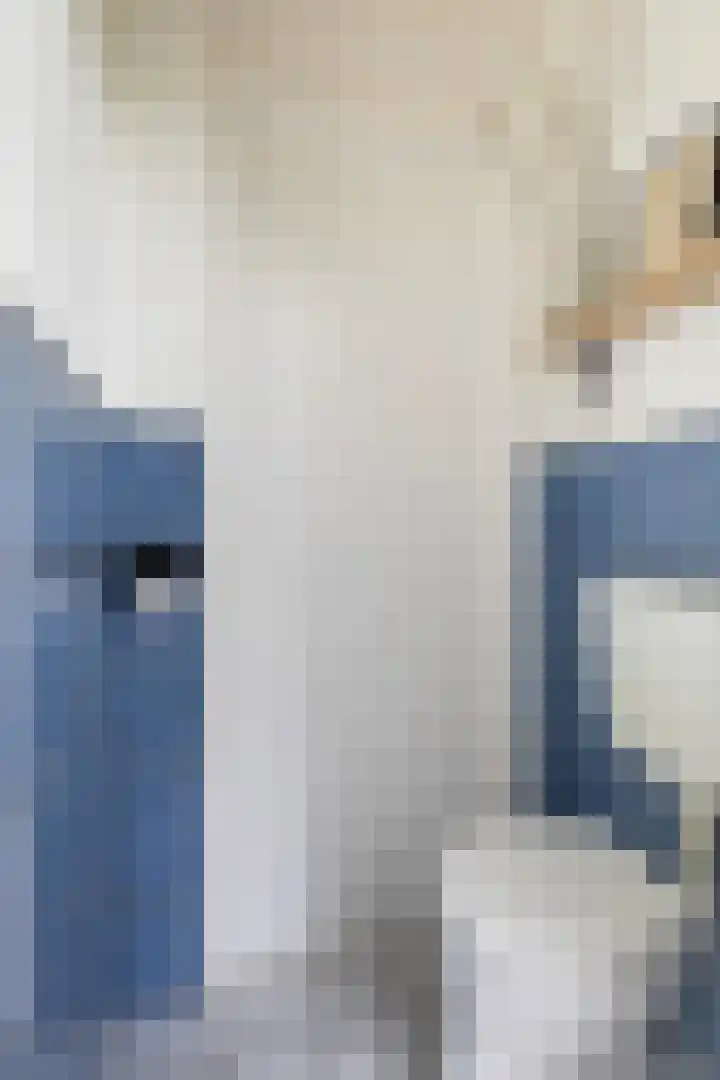 Ophuystrawei 23 Driezum thumbnail 11