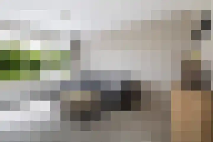 Ophuystrawei 23 Driezum thumbnail 12