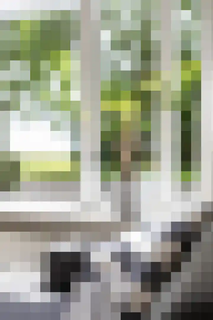 Ophuystrawei 23 Driezum thumbnail 19