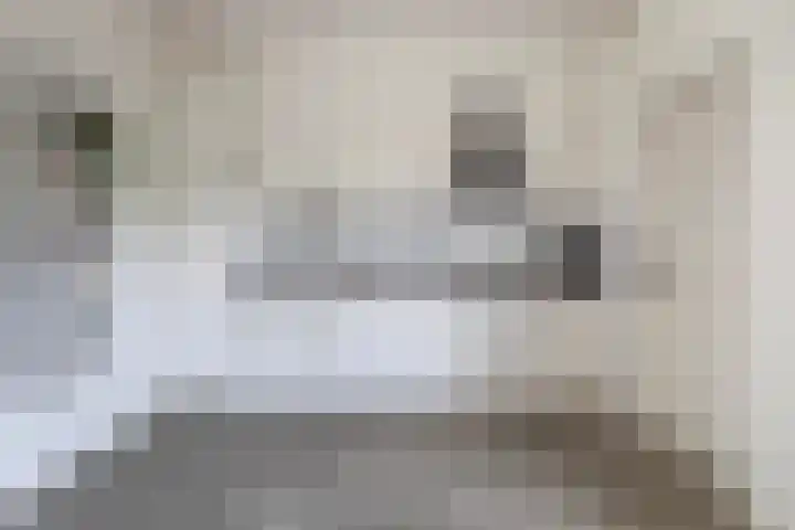Ophuystrawei 23 Driezum thumbnail 24