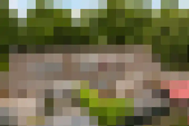 Ophuystrawei 23 Driezum foto 3