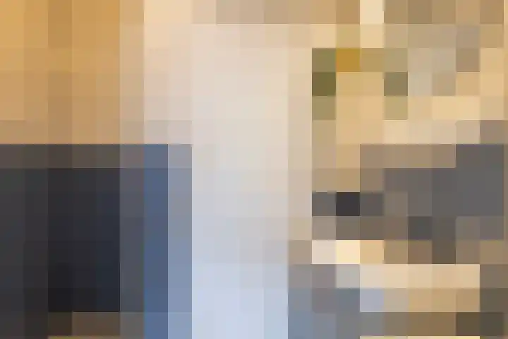 Ophuystrawei 23 Driezum thumbnail 36