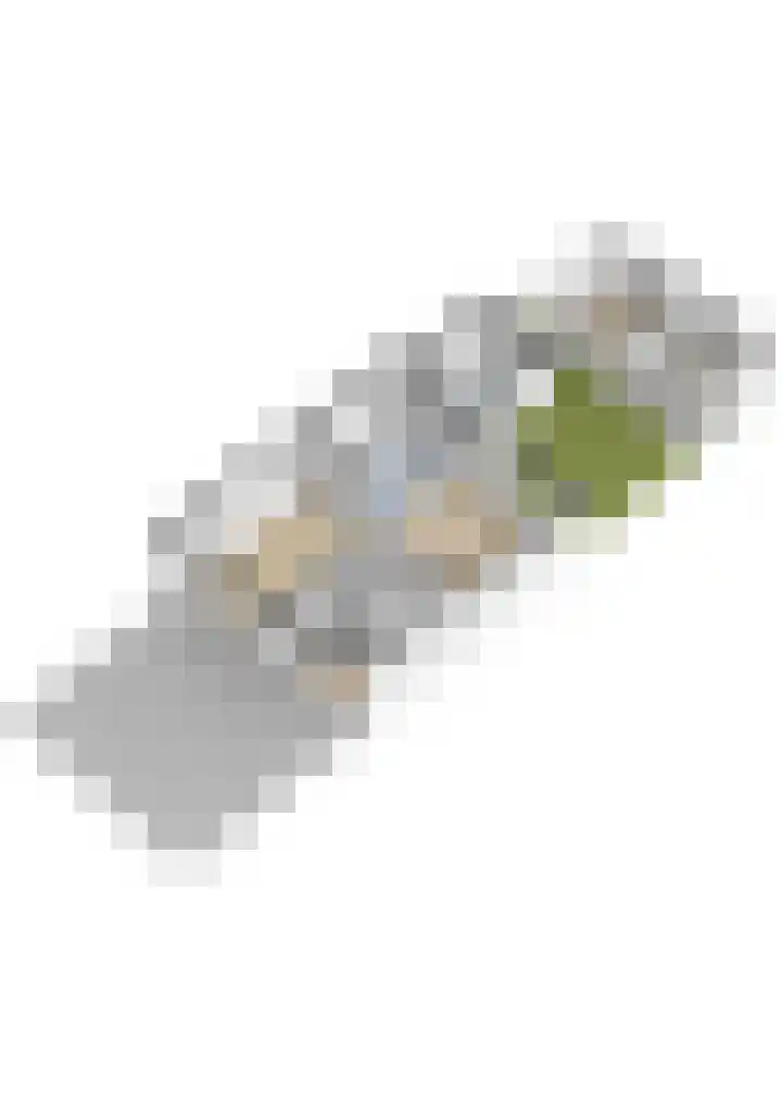 Ophuystrawei 23 Driezum thumbnail 49