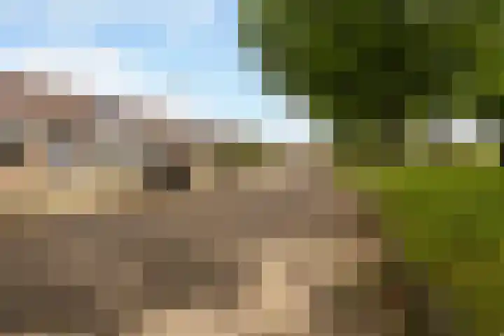Ophuystrawei 23 Driezum thumbnail 5