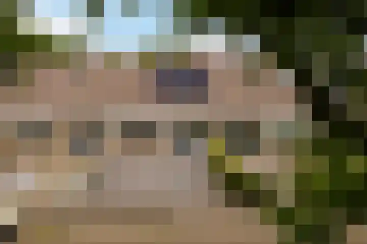 Ophuystrawei 23 Driezum thumbnail 51