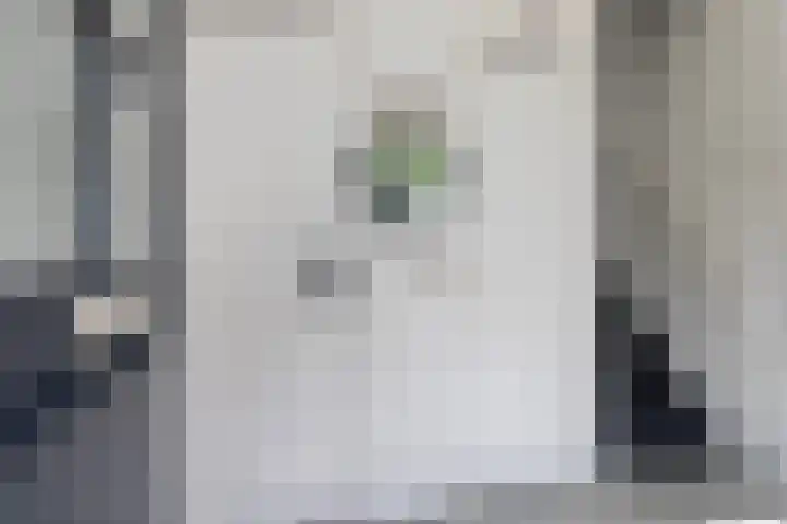 Ophuystrawei 23 Driezum thumbnail 8