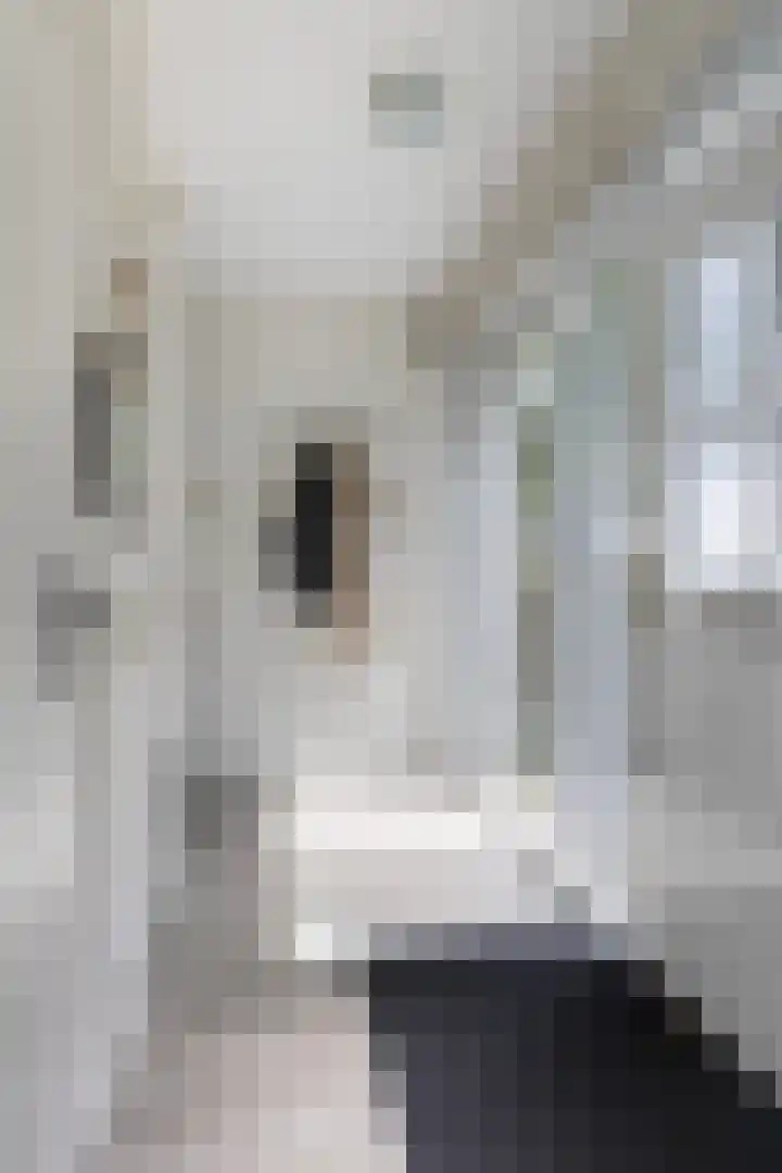 Ophuystrawei 23 Driezum thumbnail 9