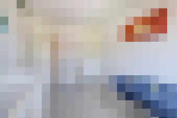 Opkamer 6 Gouda thumbnail 20