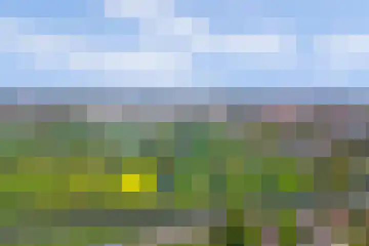 Opkamer 6 Gouda thumbnail 31