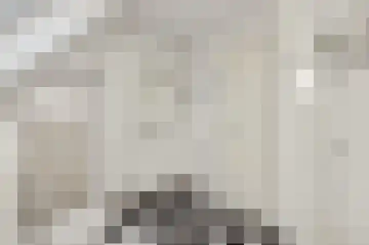 Oplegger 4 Deurne thumbnail 24