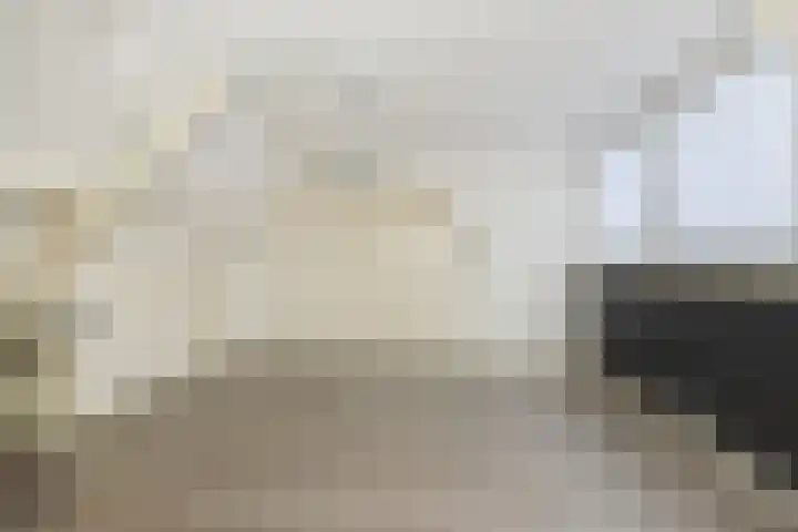 Oplegger 4 Deurne thumbnail 27