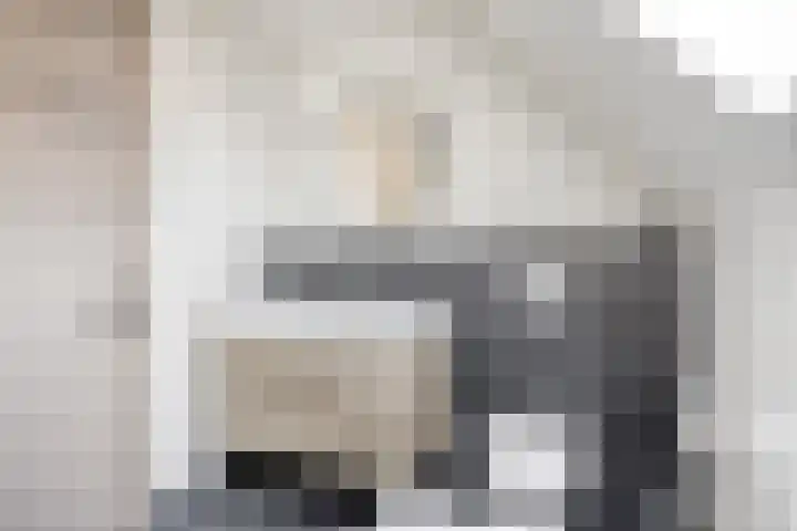 Oplegger 6 Deurne thumbnail 25