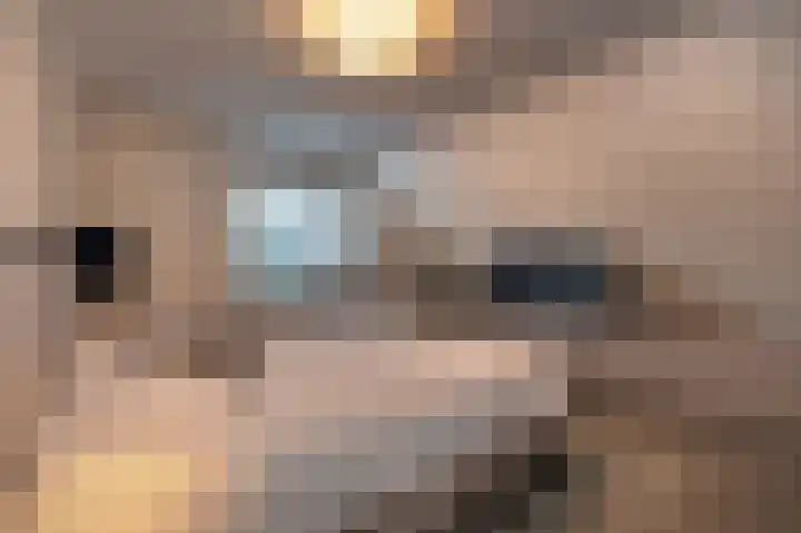 Opper 3 Uden thumbnail 37