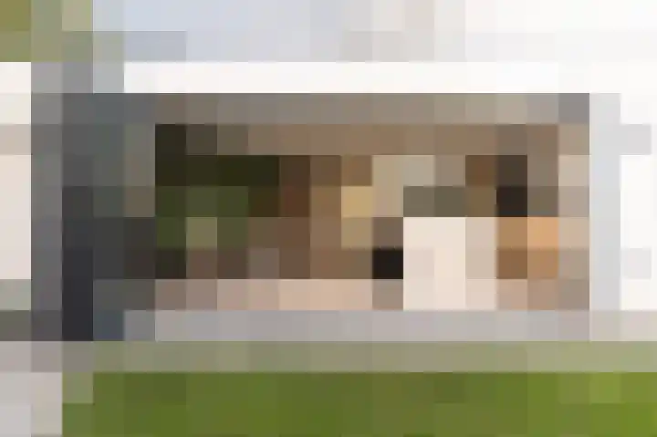 Opper 3 Uden thumbnail 46