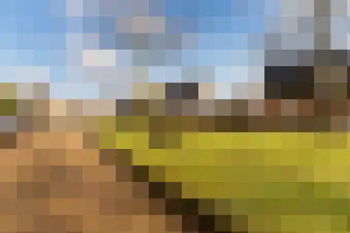 Opper 3 Uden thumbnail 6