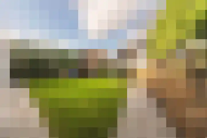 Opper 3 Uden thumbnail 61