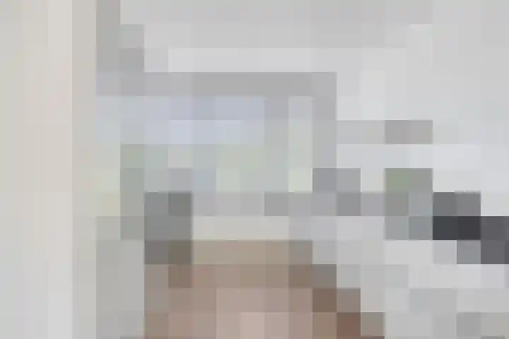 Opper 42 Someren thumbnail 13